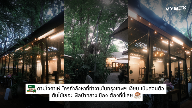 ตามใจคาเฟ่ ใครกำลังหาที่ทำงานในกรุงเทพฯ เงียบ เป็นส่วนตัว ต้นไม้เยอะ ฟีลป่ากลางเมือง ต้องที่นี่เลย