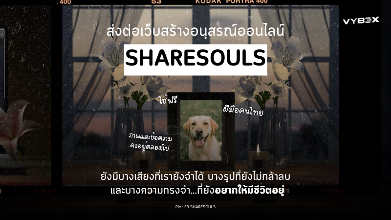 เว็บสร้างอนุสรณ์ออนไลน์ SHARESOULS ฝีมือคนไทย
